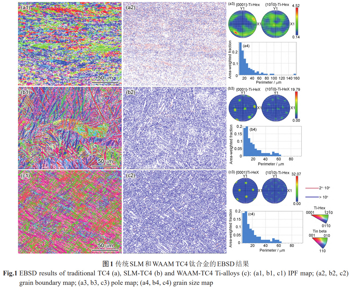 增材制造TC4鈦合金的鈍化性能優勢及微觀調控機制——對比SLM,WAAM與鍛造退火工藝，解析擇優取向/晶粒尺寸對鈍化膜缺陷濃度,致密性的影響，為航空航天/生物醫療用鈦合金耐蝕設計提供依據