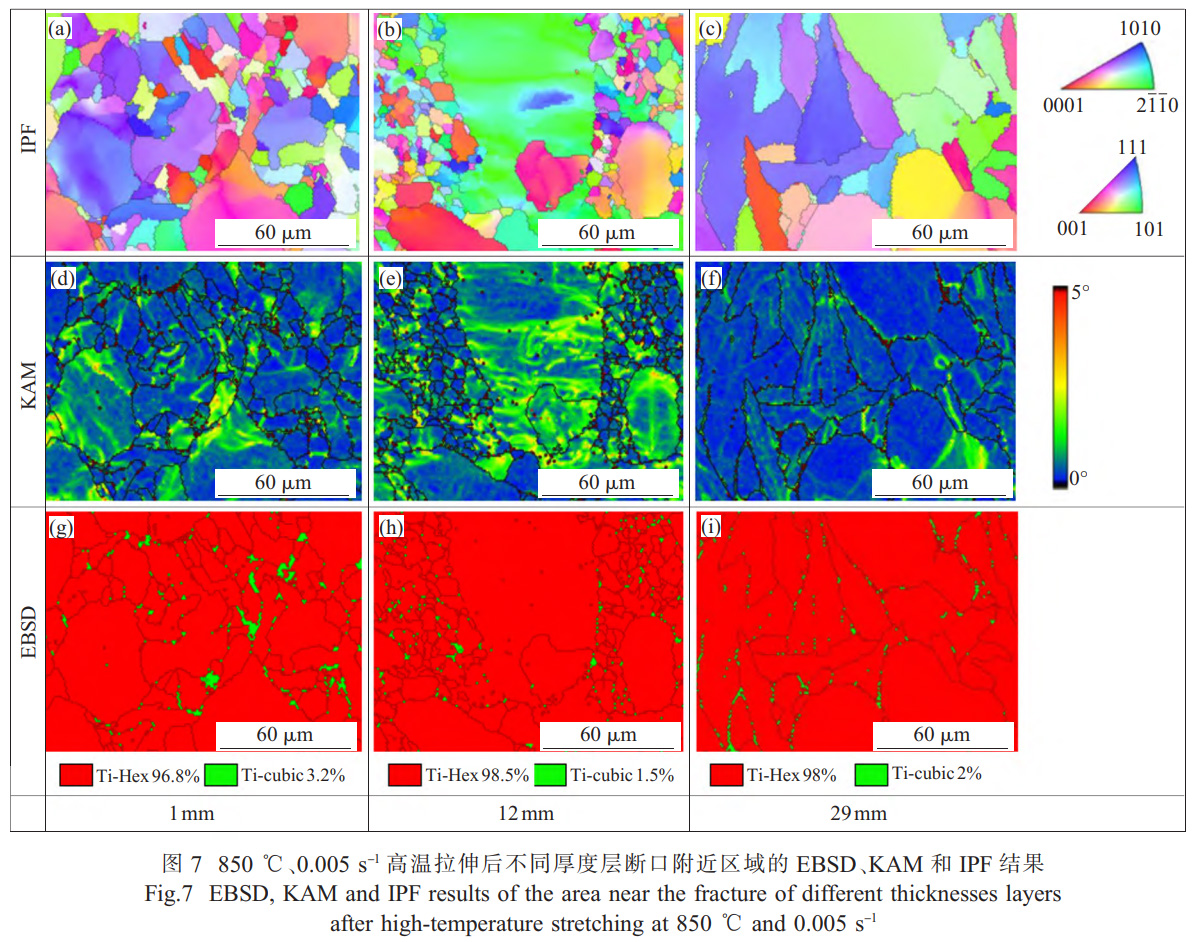 面向船舶大型殼體件的TC4鈦合金厚板精密熱壓成形技術研究——解析厚向組織不均勻性對成形性能的影響，通過應力松弛-回彈耦合模擬優化保壓參數，實現±2mm形狀公差的高精度成形